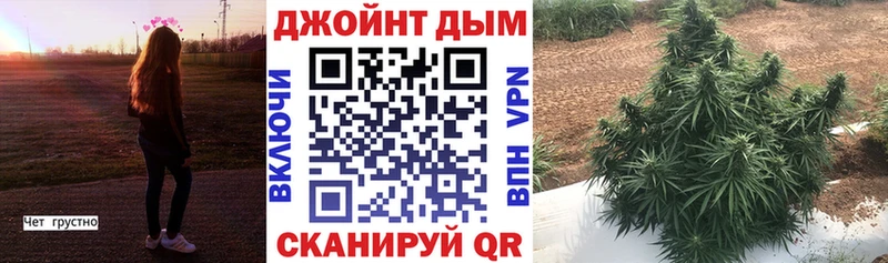 Наркошоп купить Бошки Шишки Мефедрон СК Гашиш Гдов