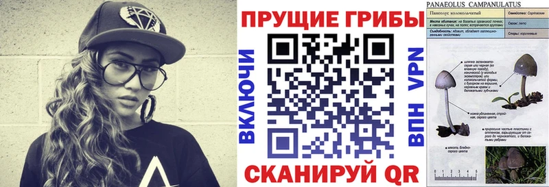 Купить  Гдов  Галлюциногенные грибы Cubensis 